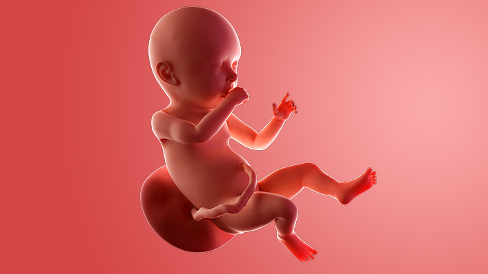 وضعیت جنین در هفته چهلم بارداری